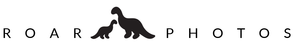 Roar Photos